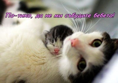 Под зоркия поглед на мама