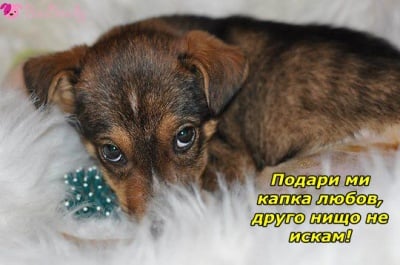 Безценен подарък