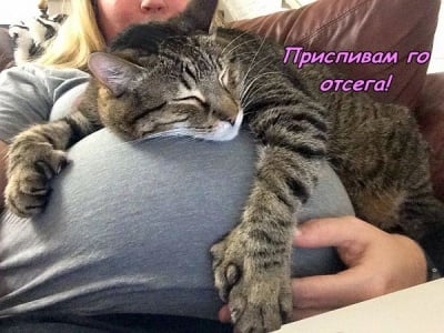 Подготовка за приспиване на бебето