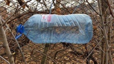 Как сами да направим подслон за птички?