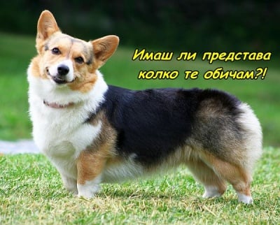 Поглед, който никога не лъже