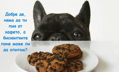 Поглед, придружаващ всяка закуска