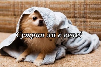 Поспаланко