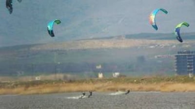 Застрашени от изчезване птици изоставиха яйцата си заради сърфисти в Поморийско езеро