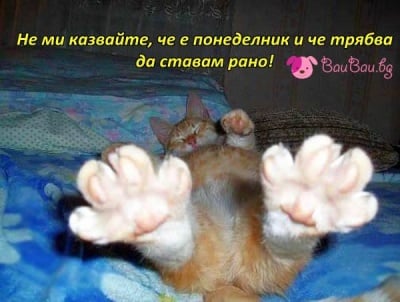 Да се протегнем едно хубаво