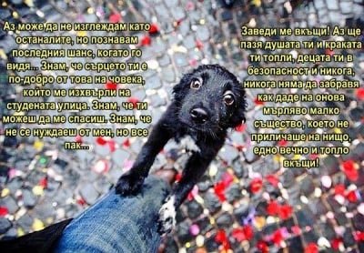 Последен шанс