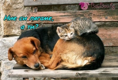 Послушковци