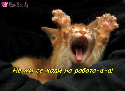 Първата сутрешна мисъл