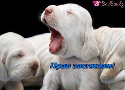 Уморен герой