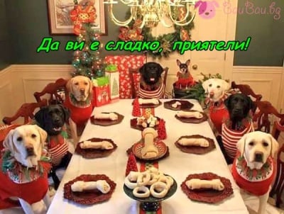 Празнична трапеза