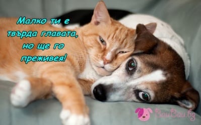 Преди лягане