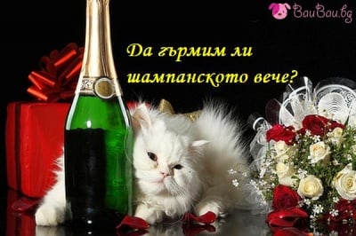 Преди настъпване на Новата Година