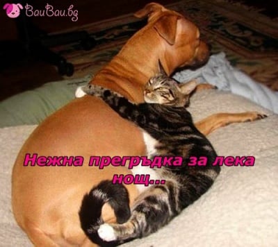 "Прегръщам те и заспивам!"