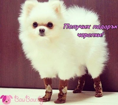 Прекрасен подарък