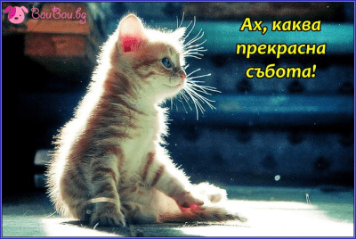 Прекрасна съботна сутрин!