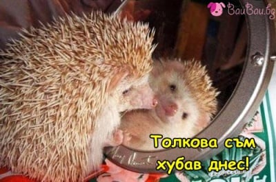 Положително начало на деня