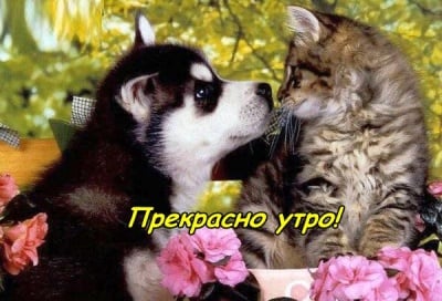 Мартенско утро