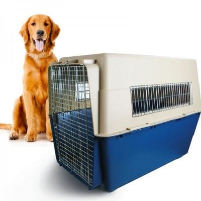 Обучение на кучето: Урок №6. Научете кучето да влиза в преносима клетка