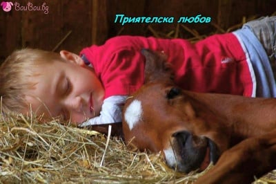 "Най - блаженият сън е, когато сме заедно!"