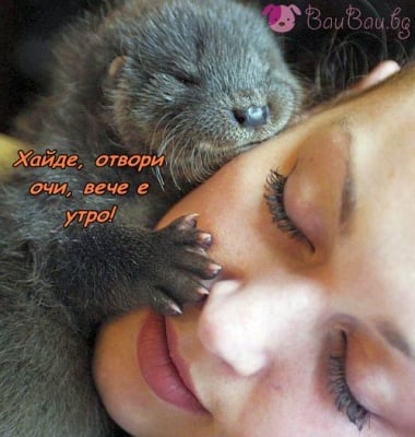 Приятно събуждане