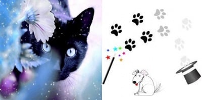 Котки и кучета с магически произход