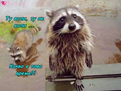 Пролетно време