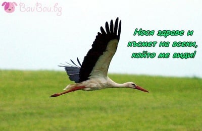 Пролетта е тук!