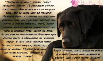 Прощално писмо