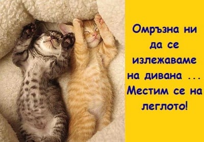 Пухкави поспаланковци