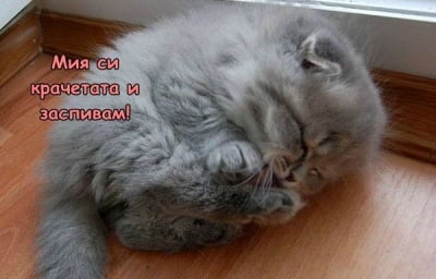 Пухкаво сладурче