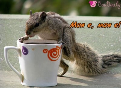 Пълна чаша кафе