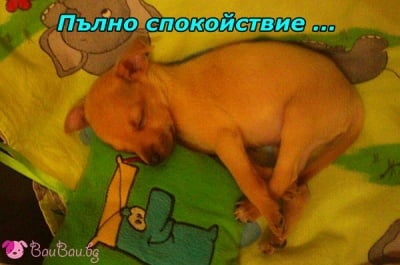 Малкият Чарли в света на сънищата