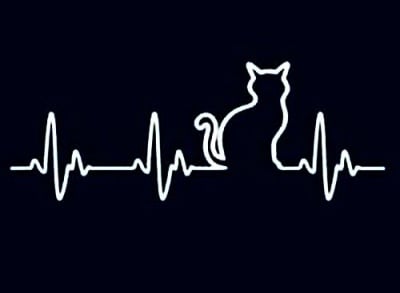 Пулсът на моето сърце!