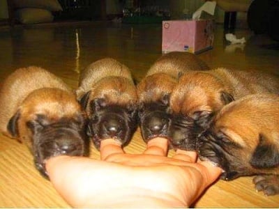 "Момчета, това май не е мама!"