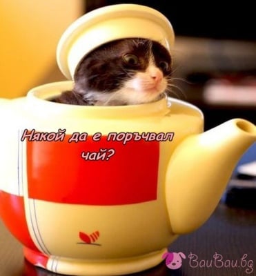 "Я! Чаят е готов!"