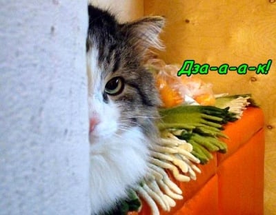 Охо, кой е буден вече?