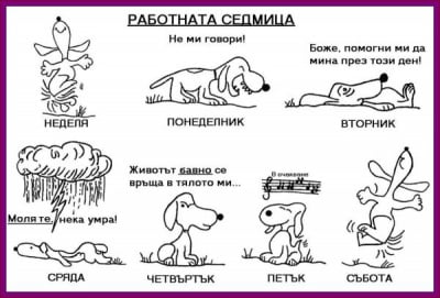 Работна седмица