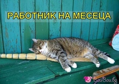 "Бягай, работа, че идвам!"