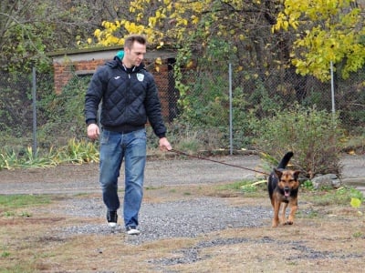 Разхождане на куче от приюта в Стара Загора
