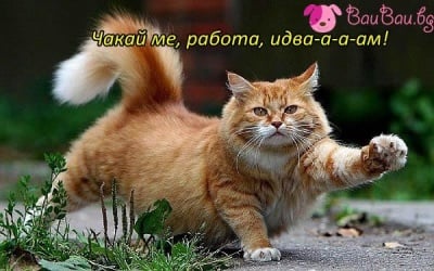 Протегливо утро