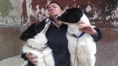 моите любими каракачанки Мечо и Сара