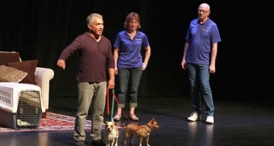 Регистрирайте кучето си сега, за да стане звезда в шоуто на Сизър Милан! Ето как...