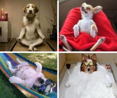 Пълен релакс 