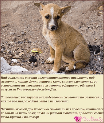 1 август - Универсален Рожден Ден на всички животни без подслон