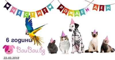 Бау Бау - 6 години