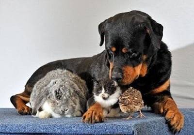 От тук ... От там ...