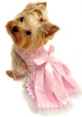 Розовата хубавелка