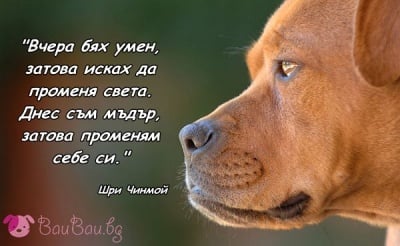 С душа на мъдрец