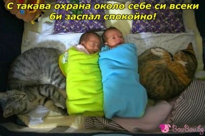 Най - нежните охранители