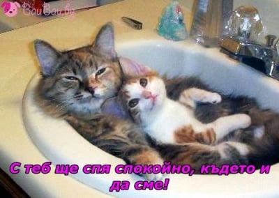 Всяко легло е удобно, когато не спиш самичък